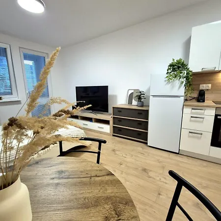 公寓 Krasny V Ruzinove