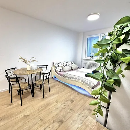 Krasny V Ruzinove 公寓