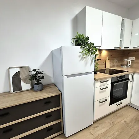 Krasny V Ruzinove アパート *